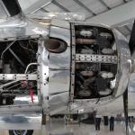 LyonMuseum_0032 (March 26, 2011)
